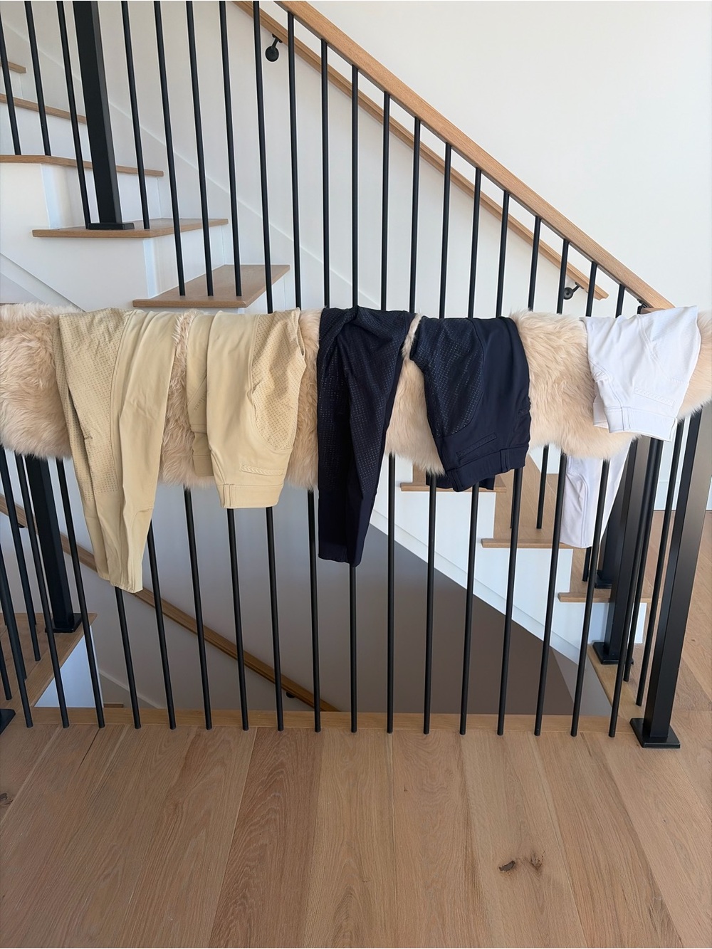 LeMieux Riding Pants